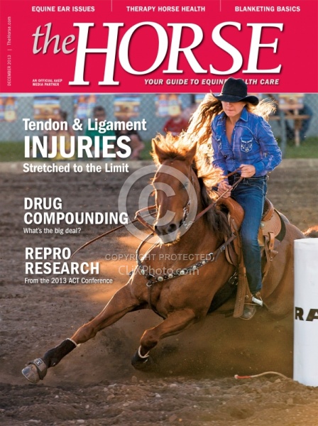 The Horse December 2013