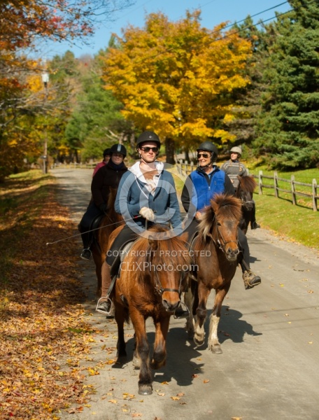 Vermont Icelandic Horse Farm Fall Colours Ride