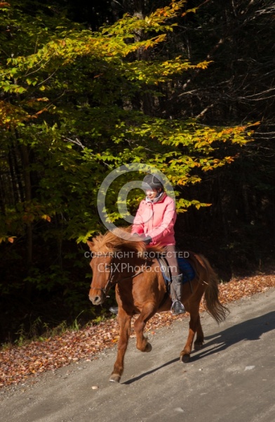 Vermont Icelandic Horse Farm Fall Colours Ride