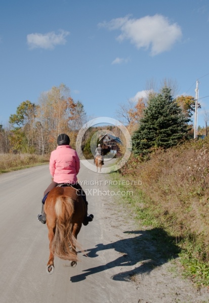 Vermont Icelandic Horse Farm Fall Colours Ride