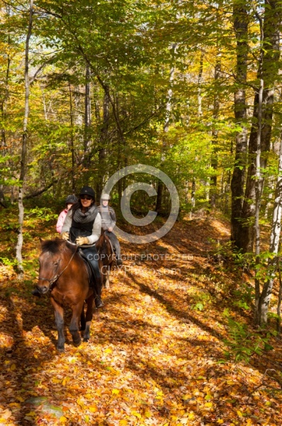 Vermont Icelandic Horse Farm Fall Colours Ride
