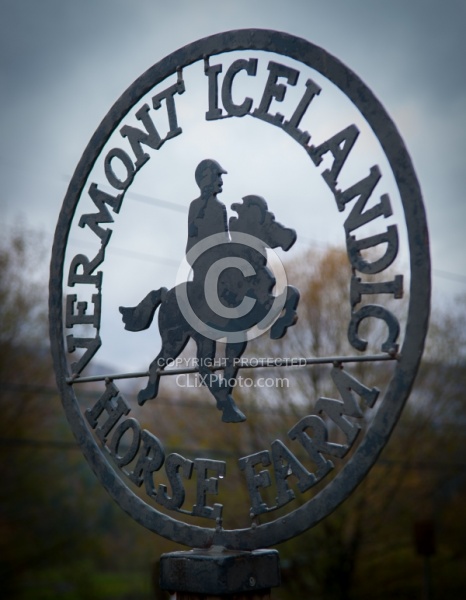 Vermont Icelandic Horse Farm Fall Colours Ride
