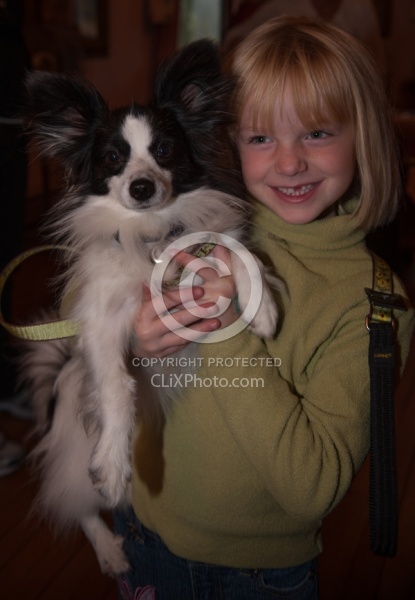 Vermont Icelandic Horse Farm Fall Colours Ride