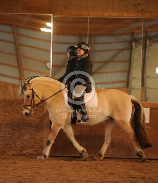 Norwegian Fjord Ridden Dressage