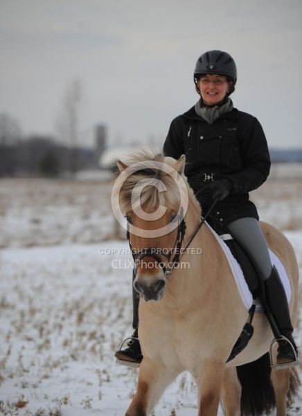 Norwegian Fjord Under Saddle