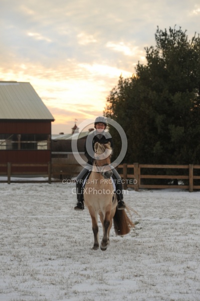 Norwegian Fjord Under Saddle
