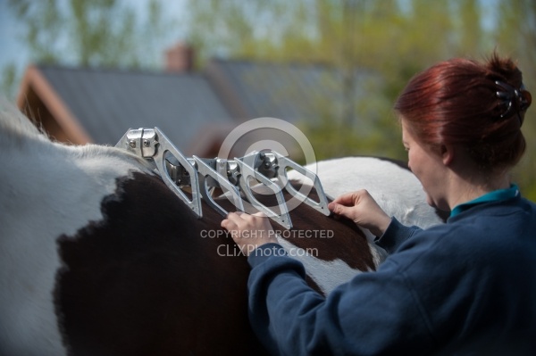 Custom Saddle Fitting