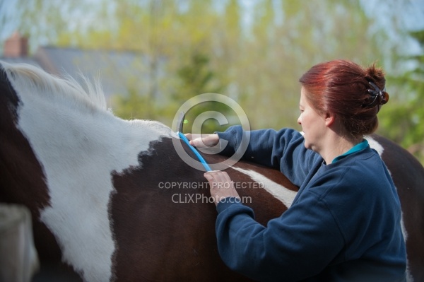 Custom Saddle Fitting