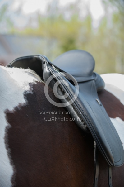 Custom Saddle Fitting