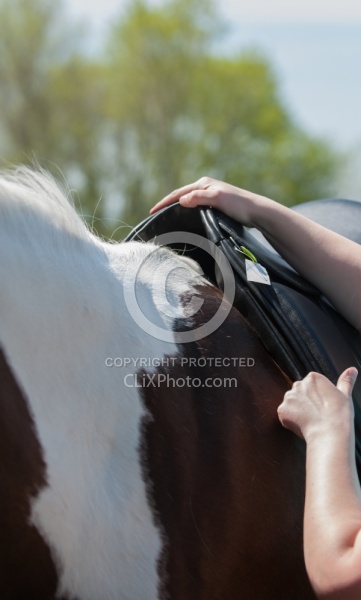 Custom Saddle Fitting
