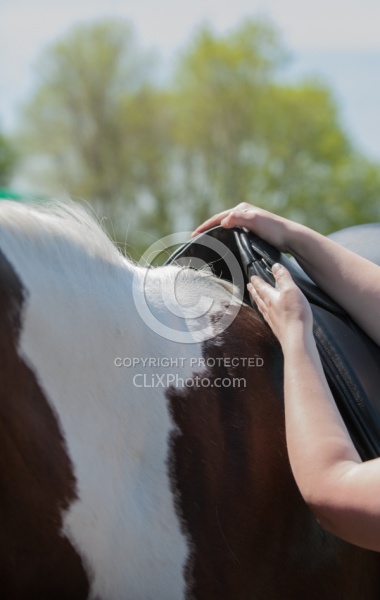 Custom Saddle Fitting
