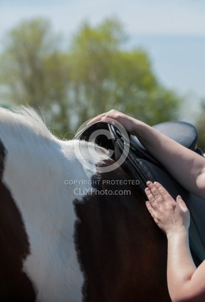 Custom Saddle Fitting