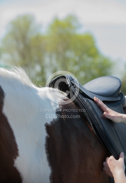 Custom Saddle Fitting