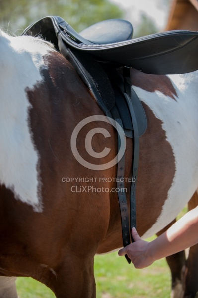 Custom Saddle Fitting