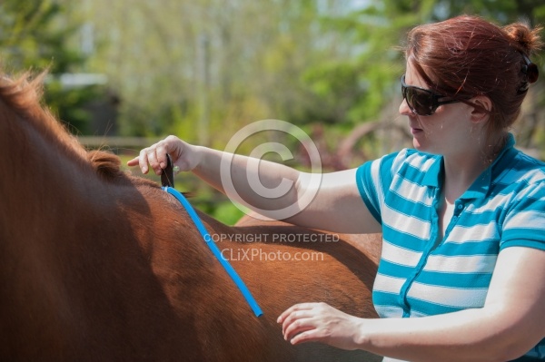 Custom Saddle Fitting
