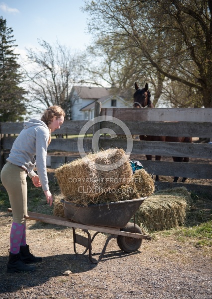 Feeding Hay