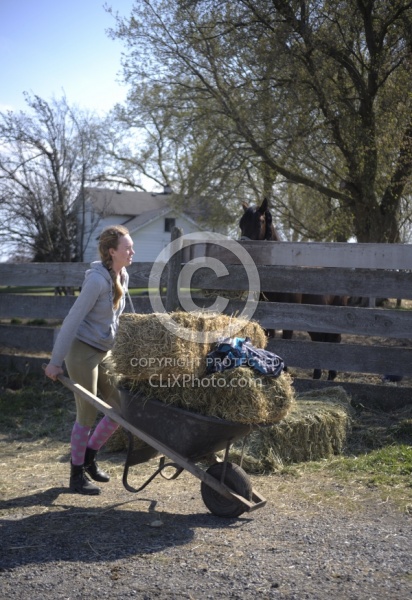 Feeding Hay