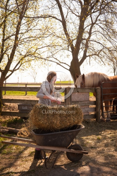 Feeding Hay
