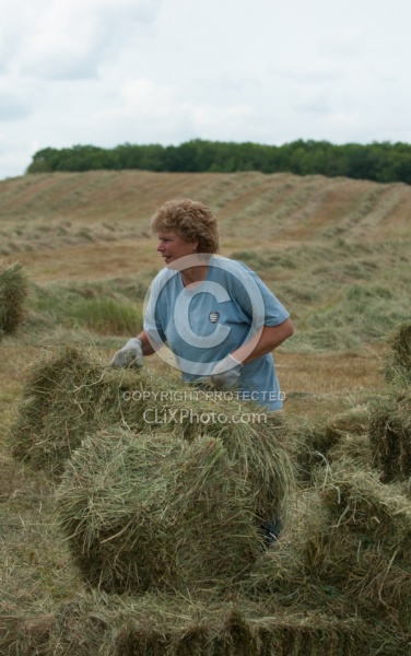 Bringing in Hay