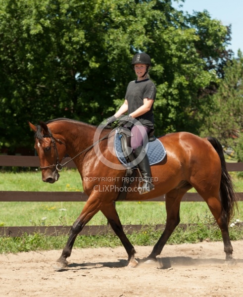 Dressage Schooling