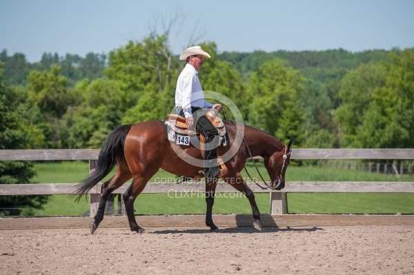 Quarter Horse Showing Western Pleasure