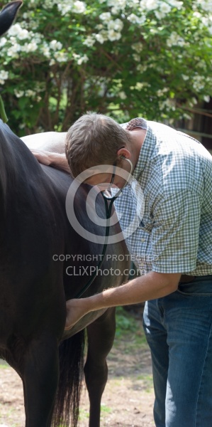 Vet Using Sethoscope