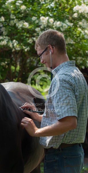 Vet Using Sethoscope