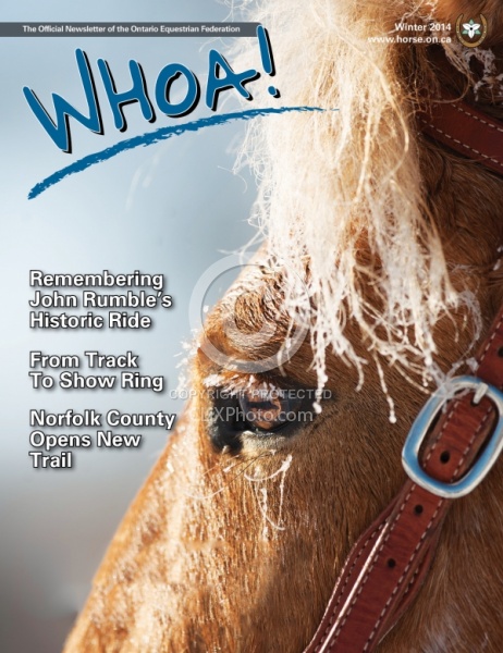Whoa Winter 2014 cover