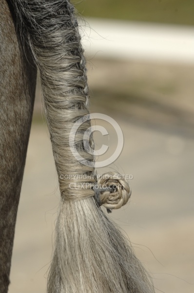 Braided Tail