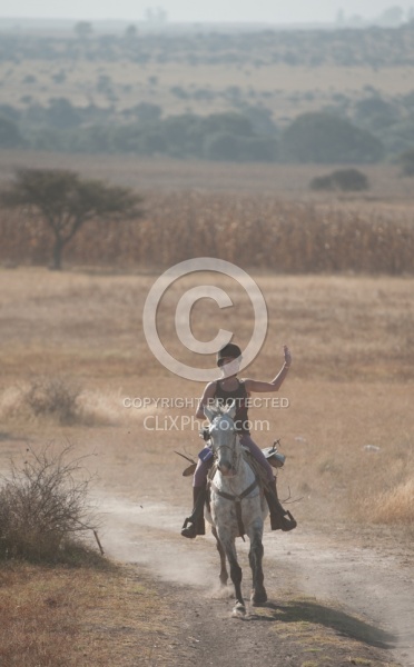 Galloping on the Trail