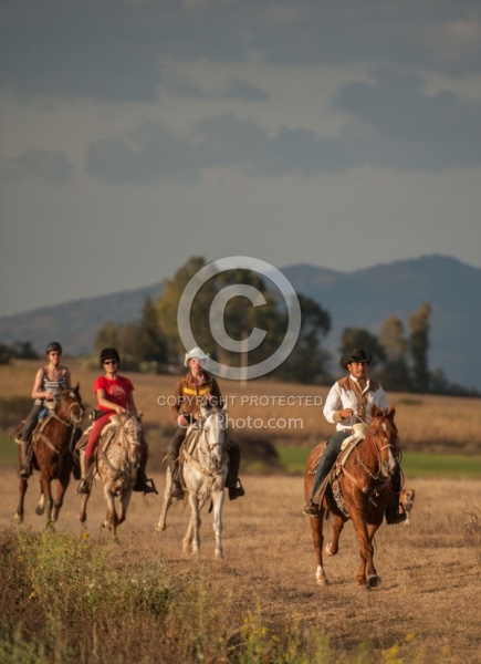 Galloping on the Trail