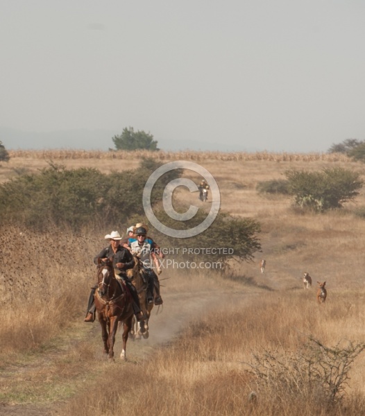 Galloping on the Trail