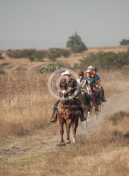 Galloping on the Trail