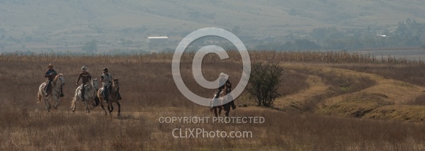 Galloping on the Trail