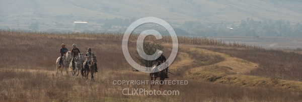 Galloping on the Trail