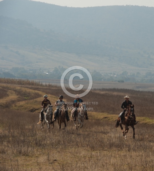 Galloping on the Trail