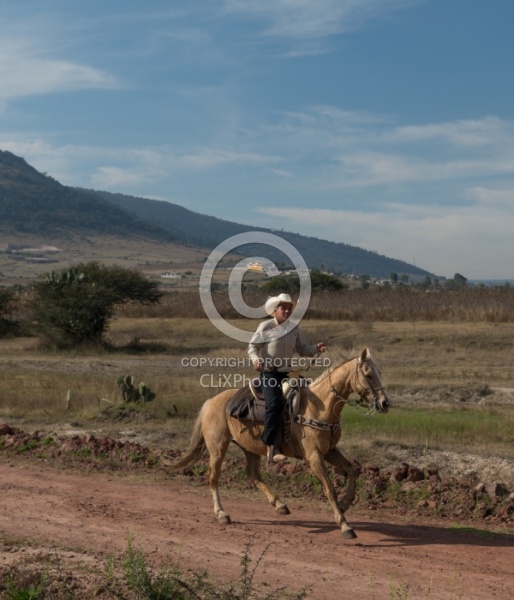 Galloping on the Trail