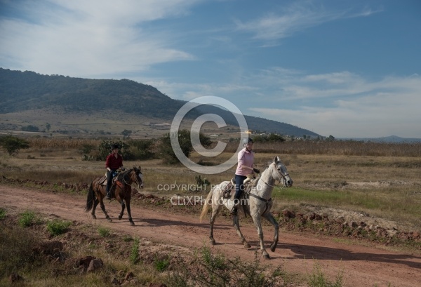 Galloping on the Trail