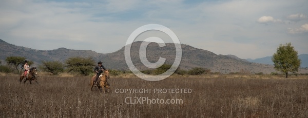 Galloping on the Trail