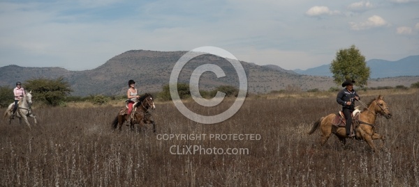 Galloping on the Trail