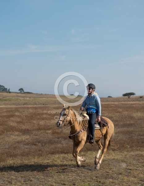 Galloping on the Trail