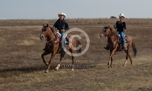 Galloping on the Trail