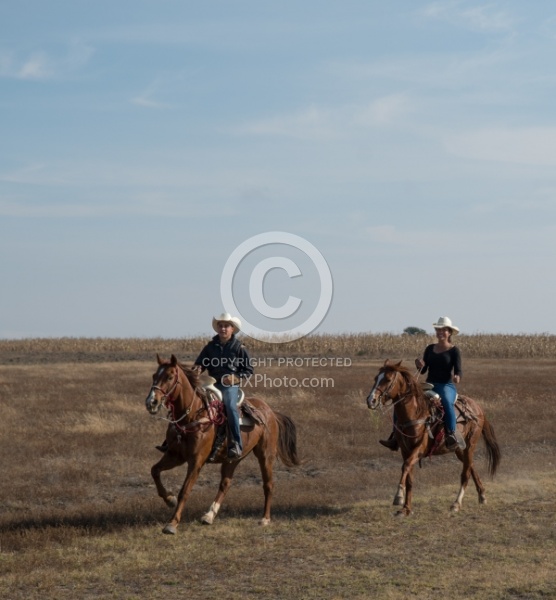 Galloping on the Trail