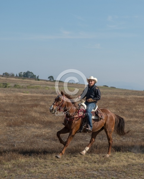 Galloping on the Trail