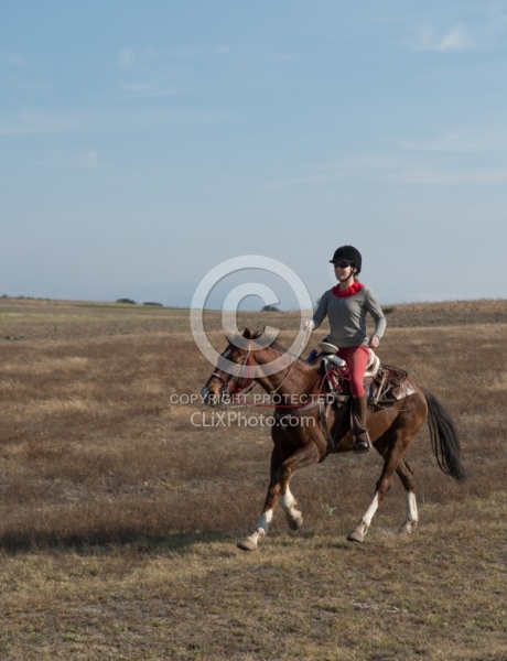Galloping on the Trail