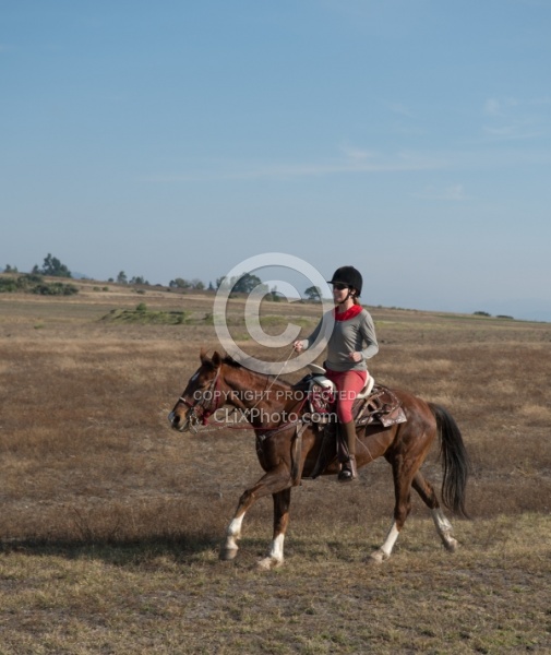 Galloping on the Trail