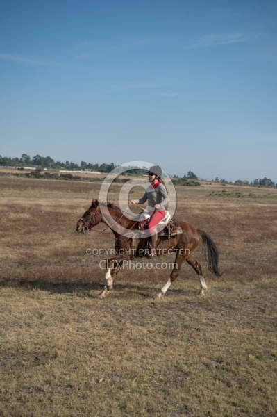 Galloping on the Trail