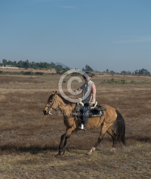 Galloping on the Trail