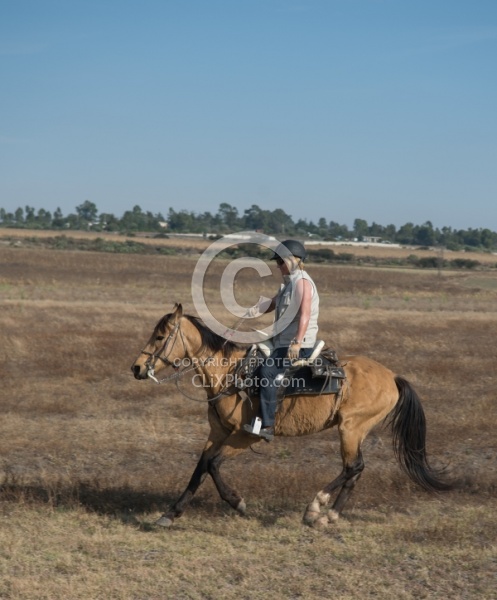 Galloping on the Trail