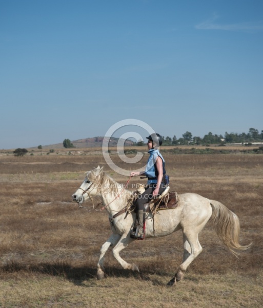 Galloping on the Trail